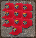 10 Hat Bundle