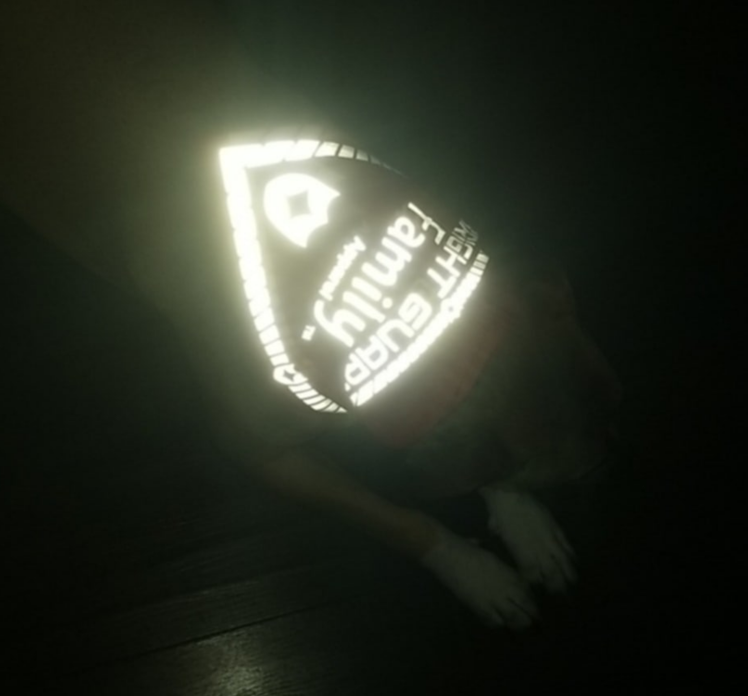 Bright Guard Reflective Dog Bandana